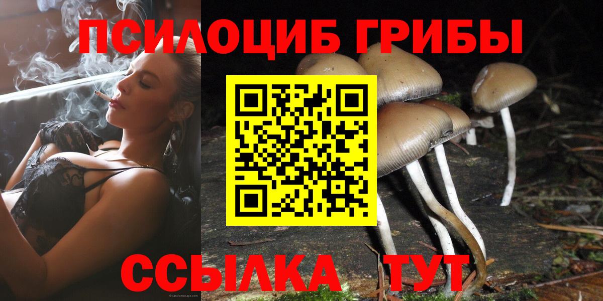хочу   Вход с VPN  Галлюциногенные грибы мицелий  Красноярск  Галлюциногенные грибы мицелий 